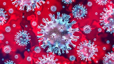 discovery-study-finds-pfizer-vaccine-lowers-risk-of-hospitalisation